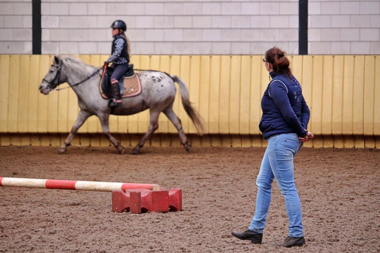 Horsetellerie Rheezerveen ハルデンベルグ エクステリア 写真