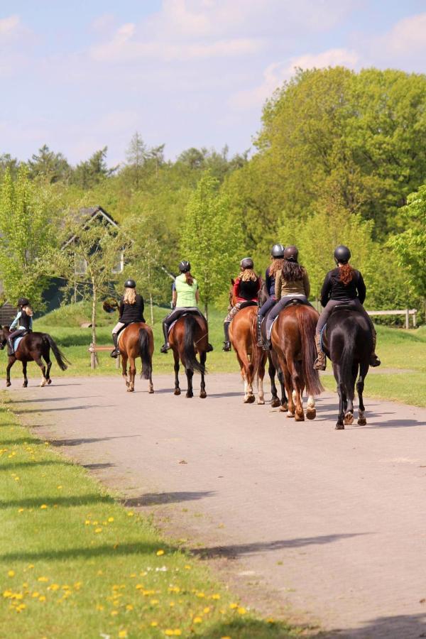 Horsetellerie Rheezerveen ハルデンベルグ エクステリア 写真