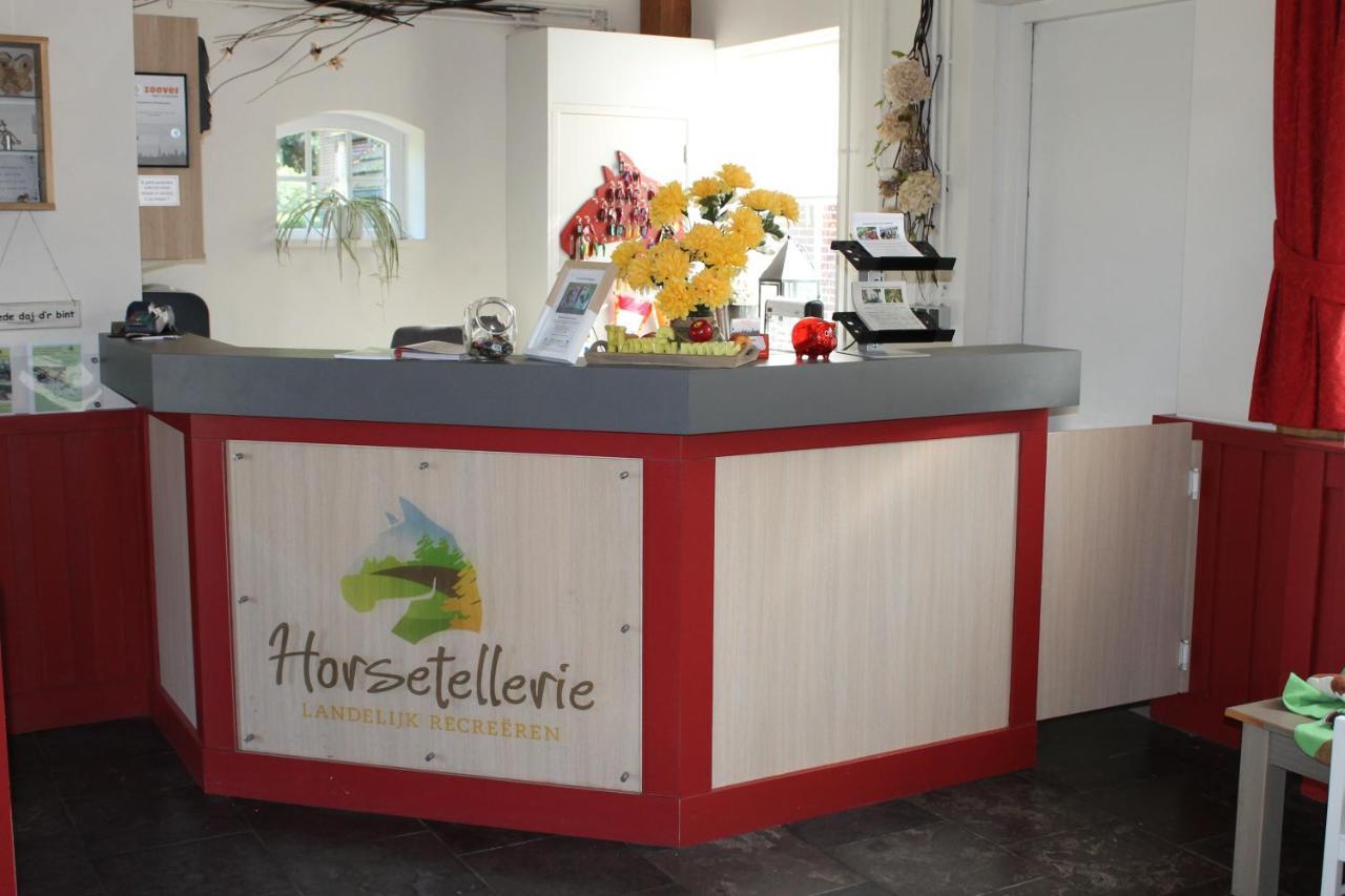 Horsetellerie Rheezerveen ハルデンベルグ エクステリア 写真