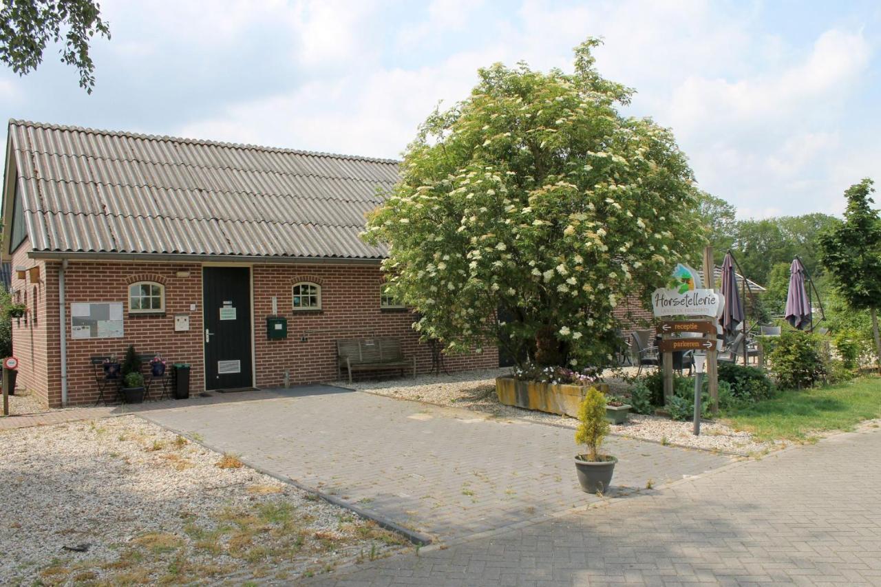 Horsetellerie Rheezerveen ハルデンベルグ エクステリア 写真