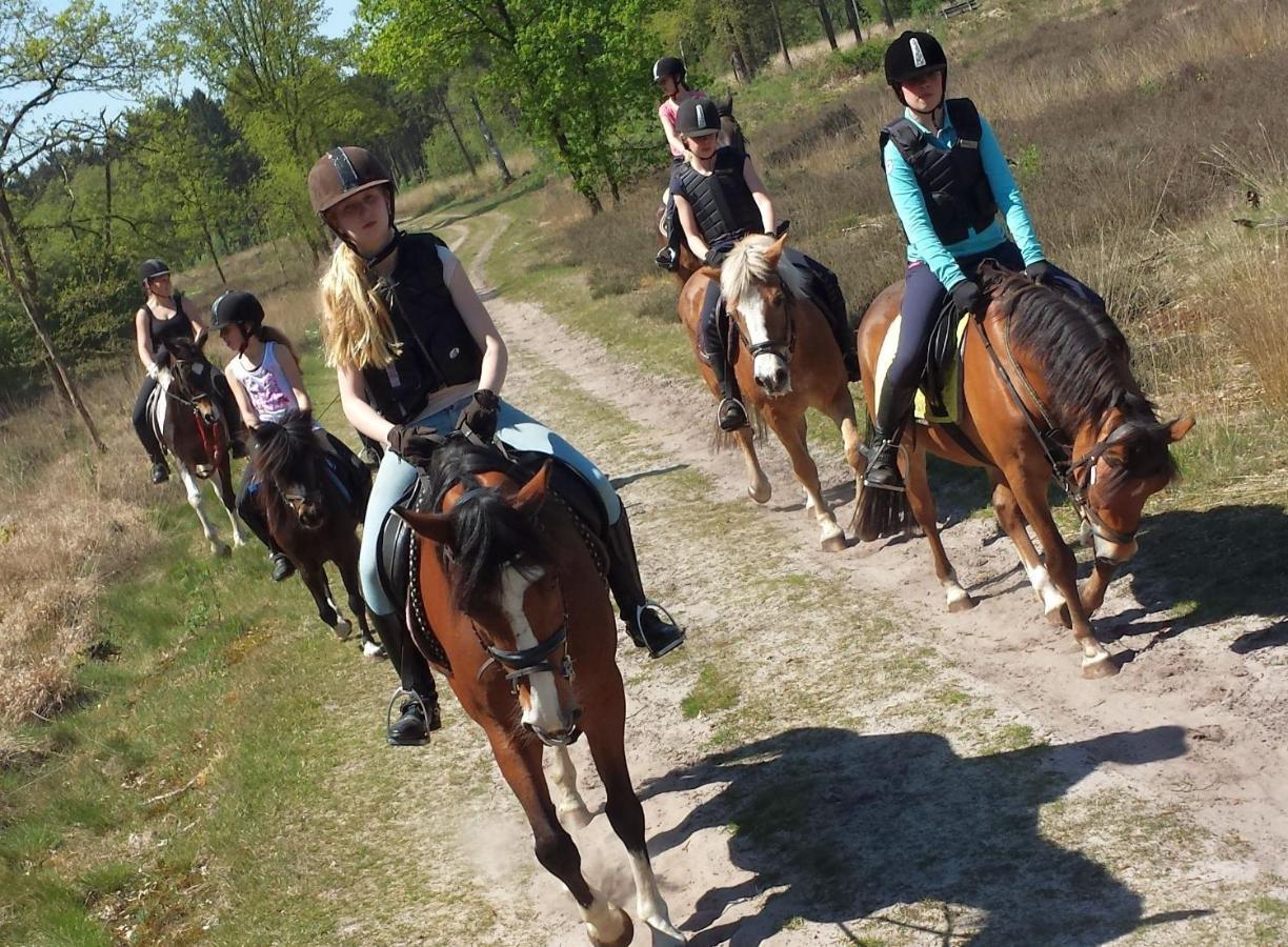 Horsetellerie Rheezerveen ハルデンベルグ エクステリア 写真