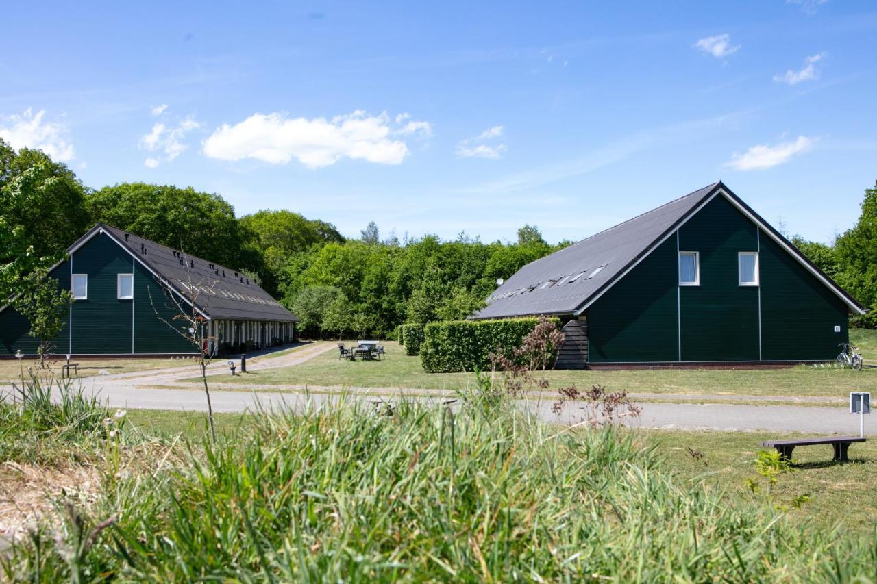 Horsetellerie Rheezerveen ハルデンベルグ エクステリア 写真