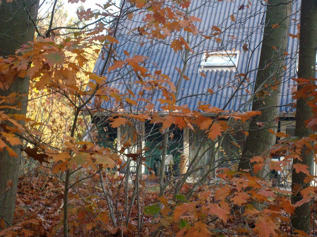 Horsetellerie Rheezerveen ハルデンベルグ エクステリア 写真