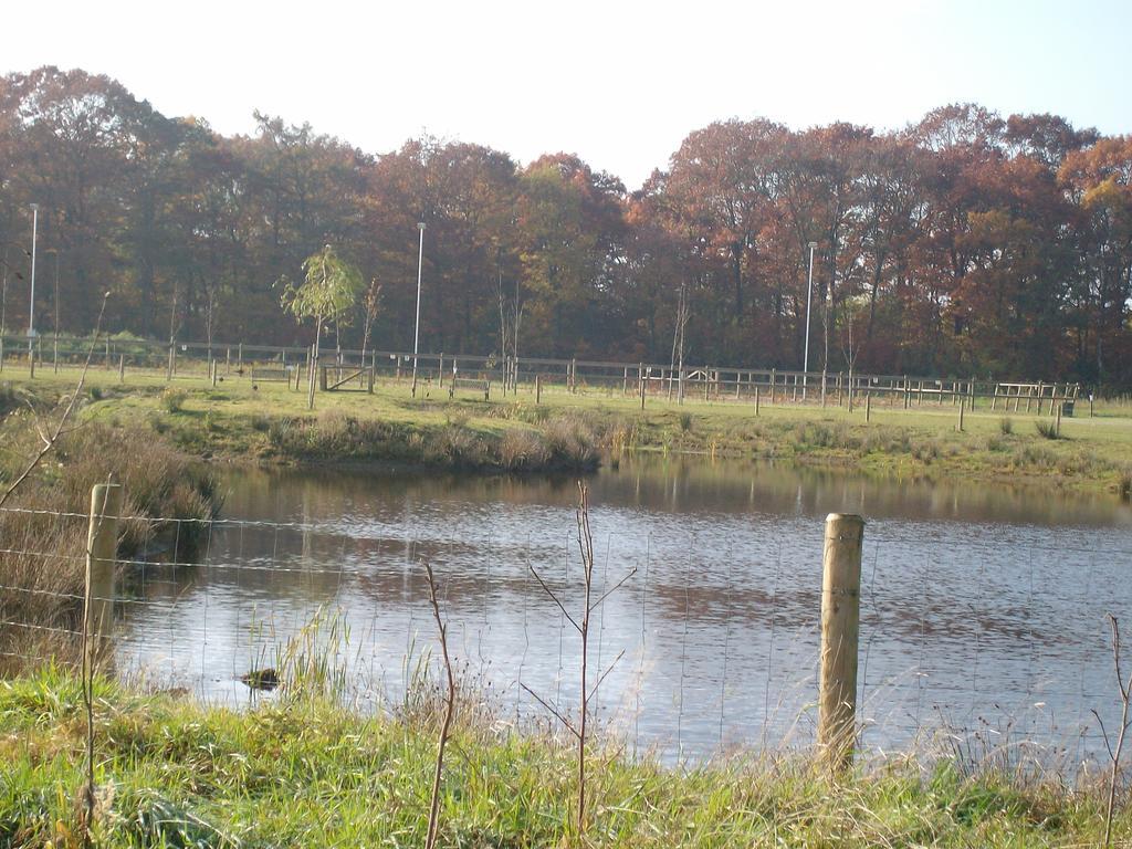 Horsetellerie Rheezerveen ハルデンベルグ エクステリア 写真