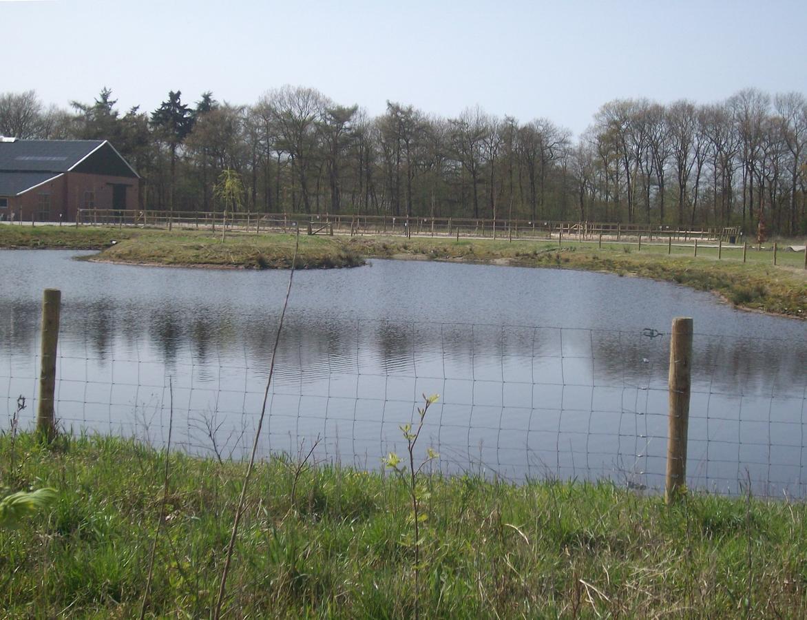 Horsetellerie Rheezerveen ハルデンベルグ エクステリア 写真